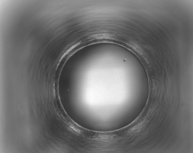 X0000060560782200511101602