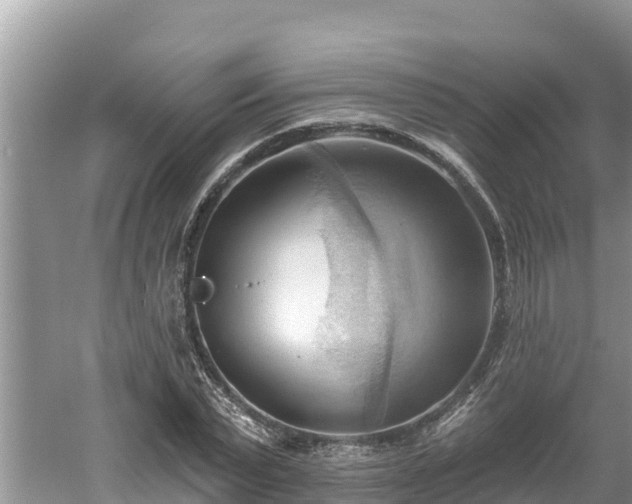 X0000060560783200511101602