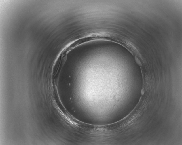 X0000060560784200511101602