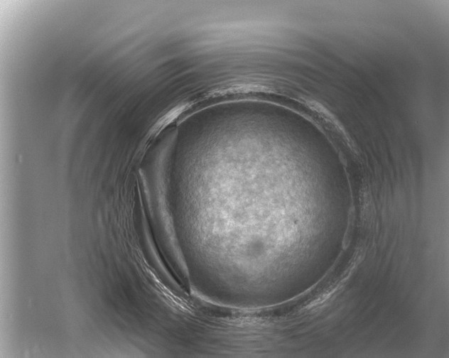 X0000060560785200511101602