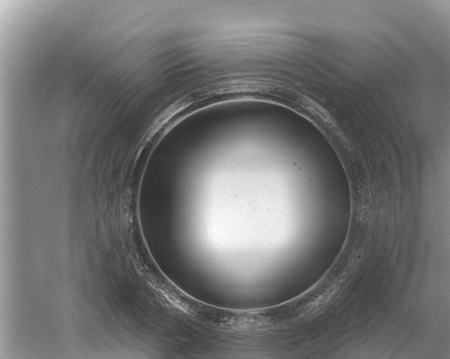 X0000060560786200511101602