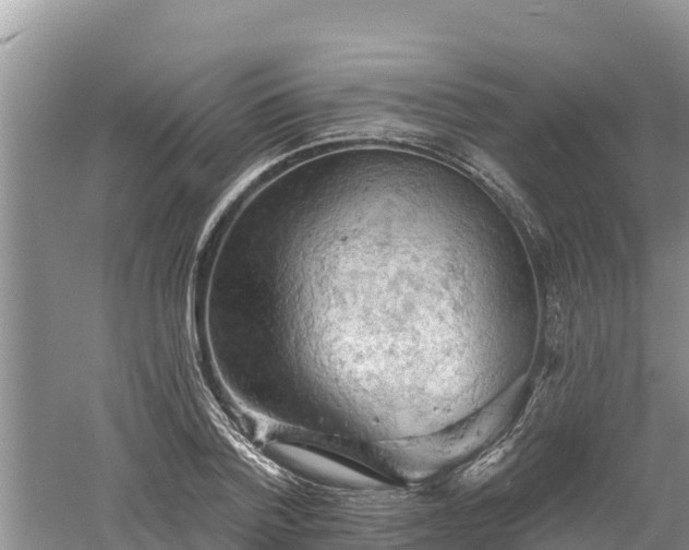 X0000060560788200511101602