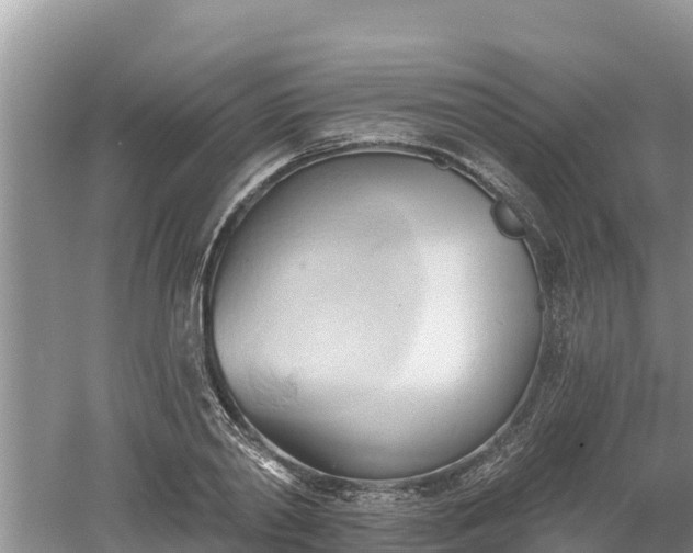 X0000060560790200511101602