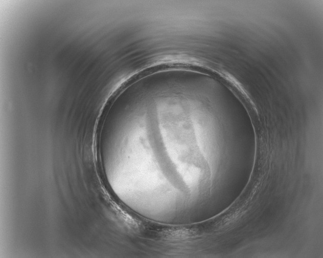 X0000060560791200511101602