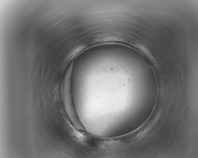 X0000060560793200511101602