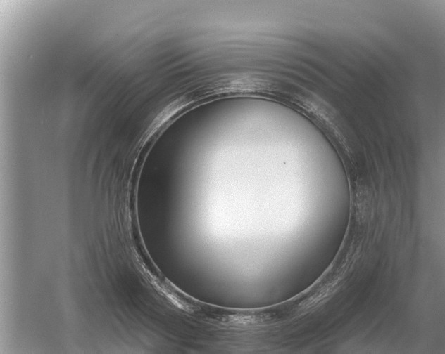 X0000060560794200511101602