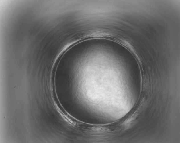 X0000060560795200511101602