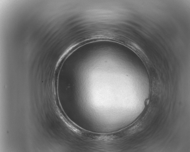 X0000060560796200511101602