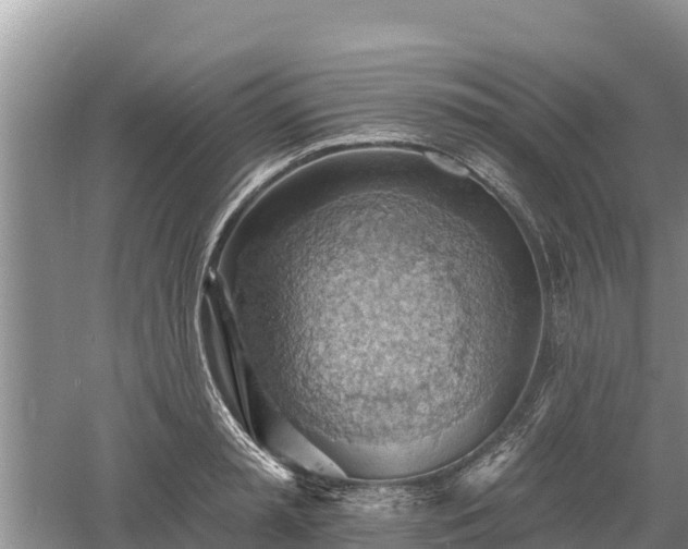 X0000060560797200511101602