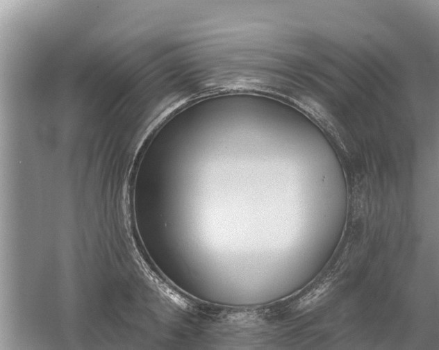 X0000060560798200511101602