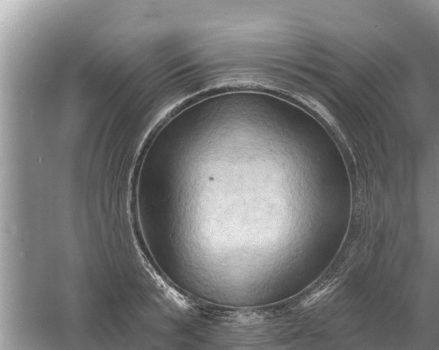 X0000060560799200511101602