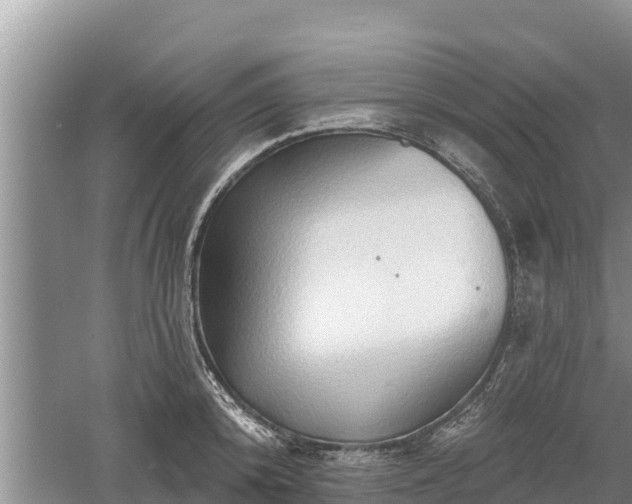 X0000060560800200511101602