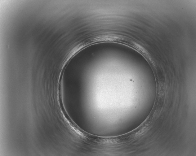 X0000060560802200511101602