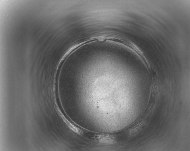 X0000060560803200511101602