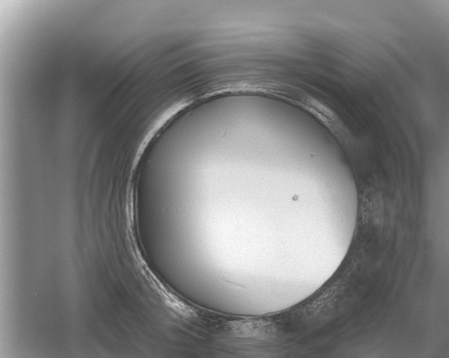 X0000060560804200511101602