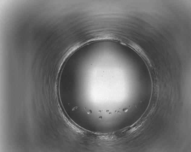 X0000060560805200511101602