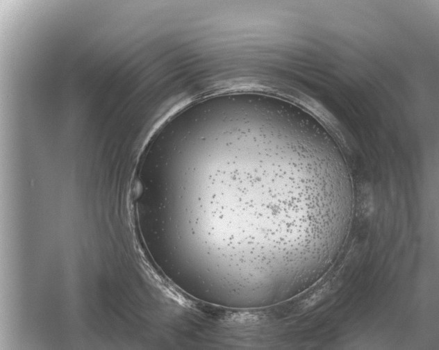 X0000060560806200511101602