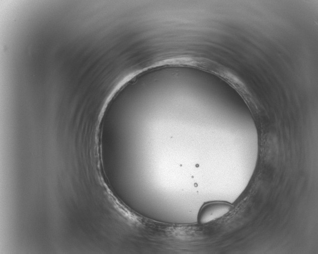 X0000060560808200511101602