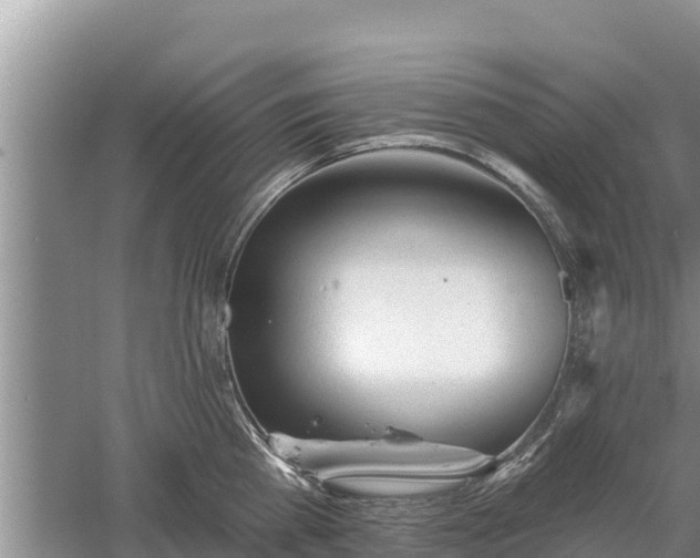 X0000060560809200511101602