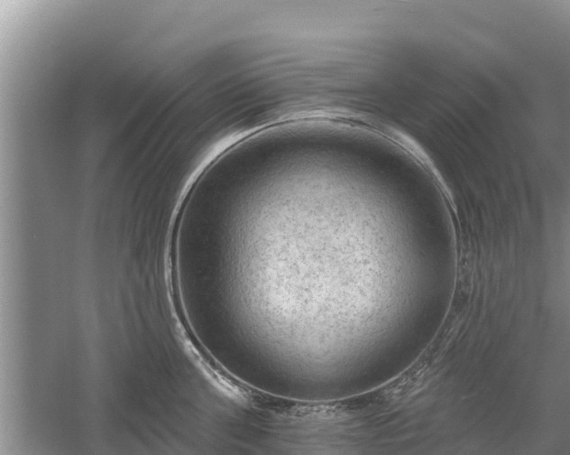 X0000060560811200511101602