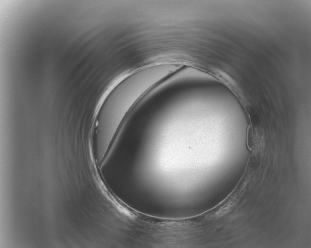 X0000060560812200511101602