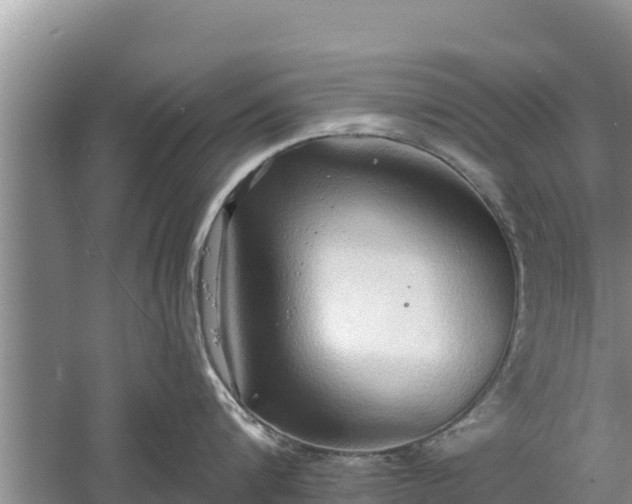 X0000060560816200511101602