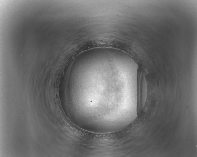 X0000060560817200511101601