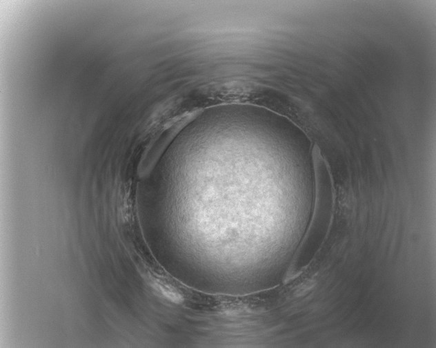 X0000060560818200511101601