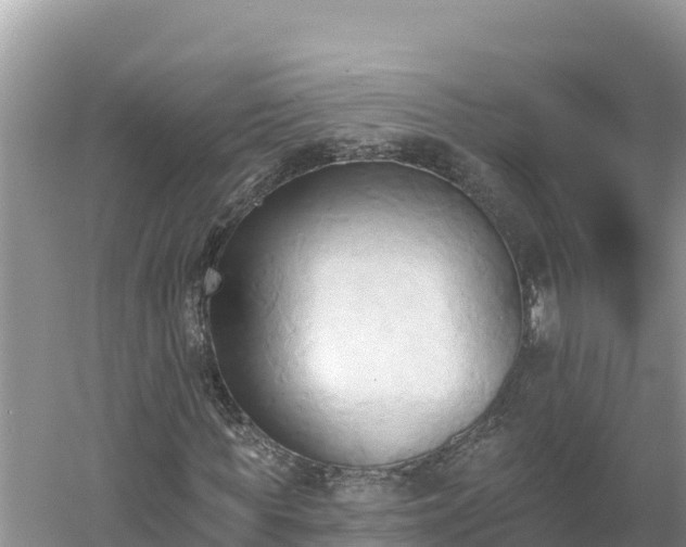 X0000060560819200511101601