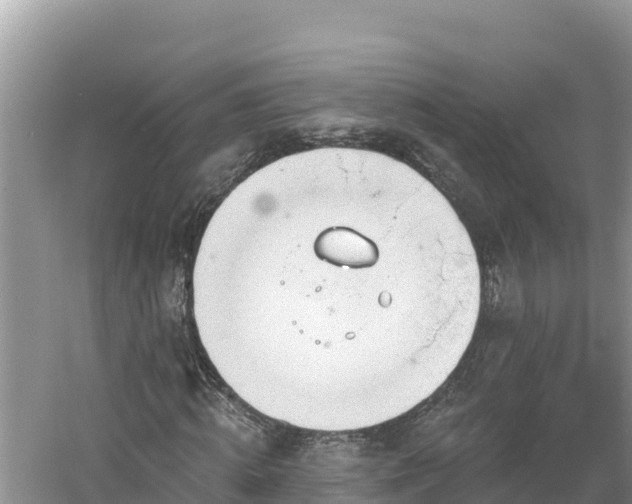 X0000060560820200511101601