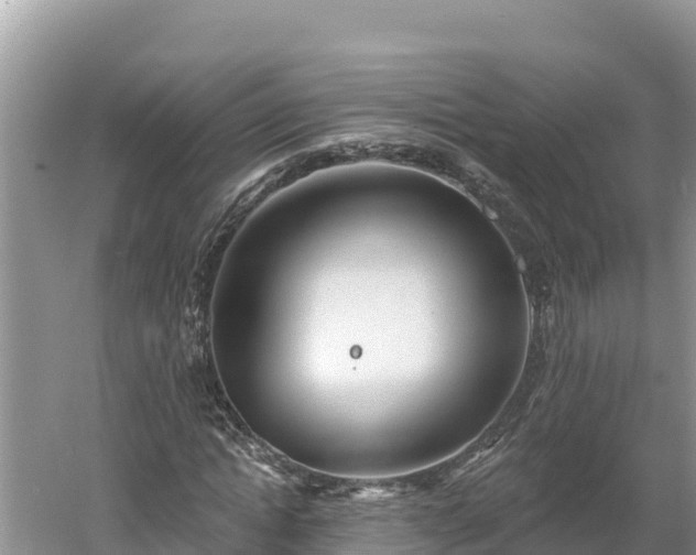 X0000060560822200511101601