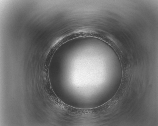 X0000060560823200511101601