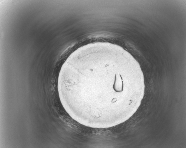 X0000060560824200511101601