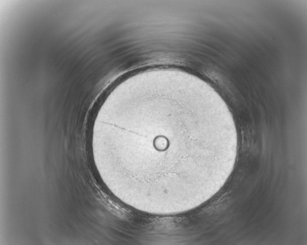 X0000060560828200511101601