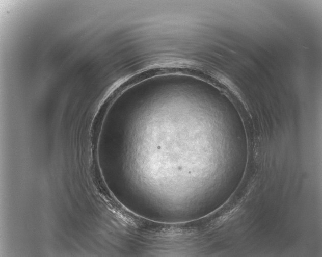 X0000060560829200511101601