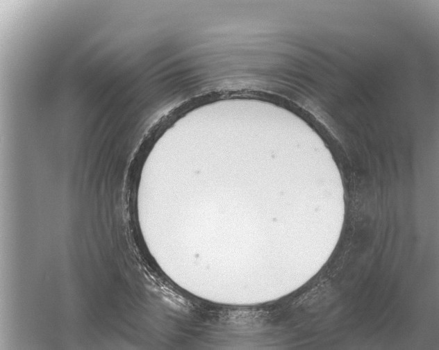 X0000060560832200511101601