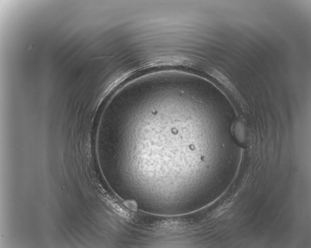 X0000060560834200511101601