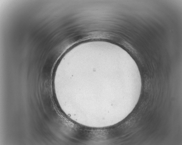 X0000060560836200511101601