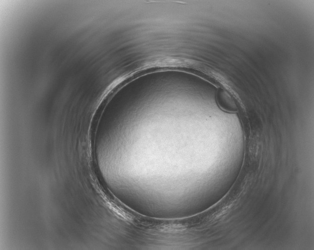 X0000060560837200511101601