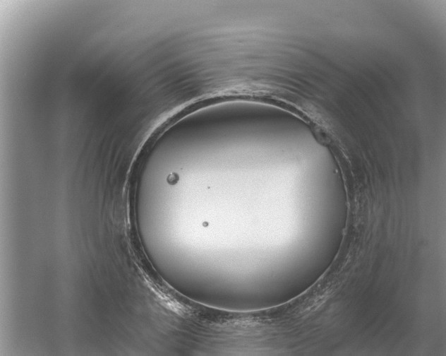 X0000060560838200511101601