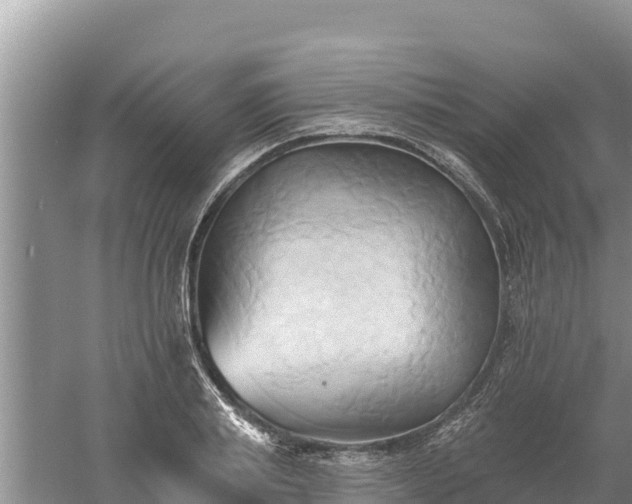 X0000060560839200511101601