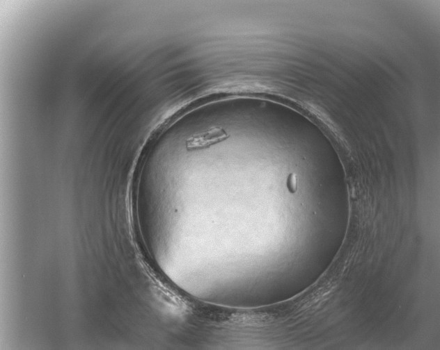 X0000060560840200511101601