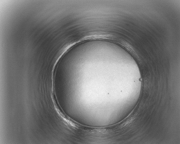 X0000060560844200511101601