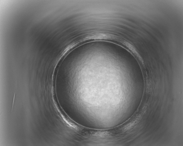 X0000060560845200511101601