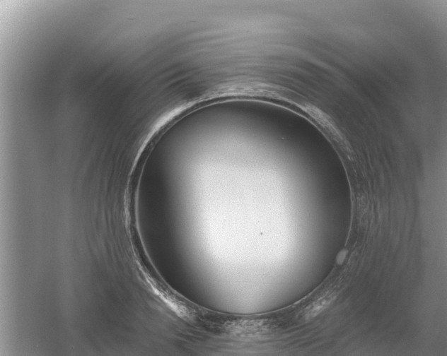 X0000060560846200511101601