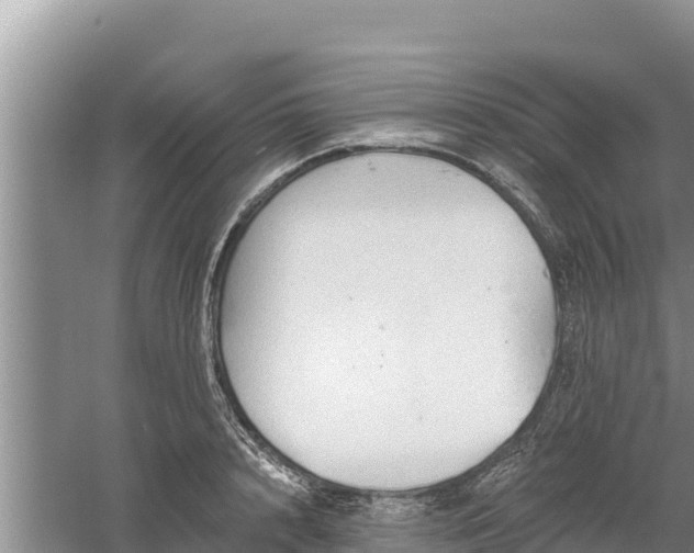 X0000060560848200511101601