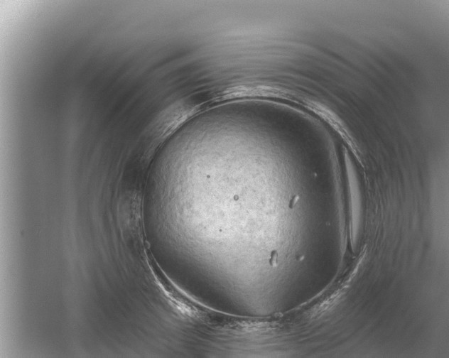 X0000060560849200511101601