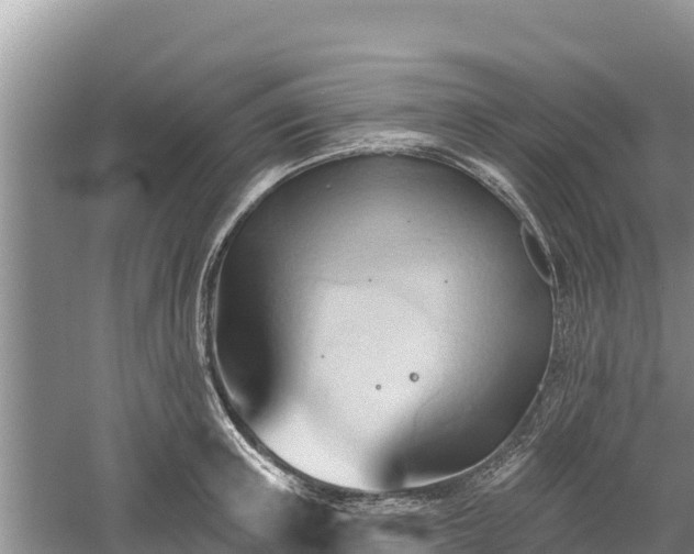 X0000060560851200511101601