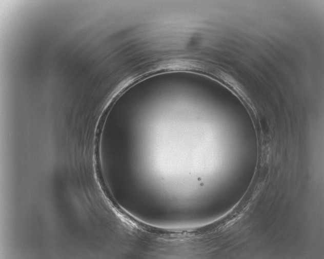 X0000060560853200511101601