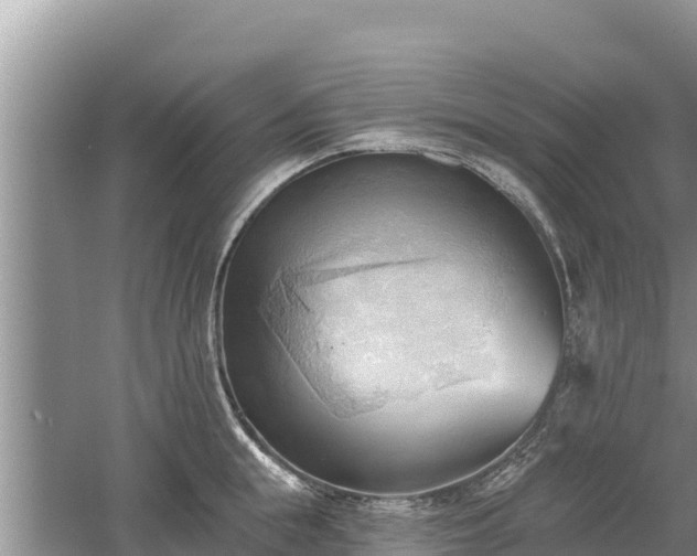 X0000060560855200511101601